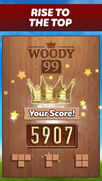 Woody 99 - Sudoku Block Puzzle (Вуди 99)  [МОД Unlocked] Screenshot 5