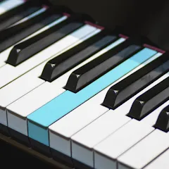 Скачать взлом Real Piano electronic keyboard (Риал Пиано)  [МОД Все открыто] - полная версия apk на Андроид