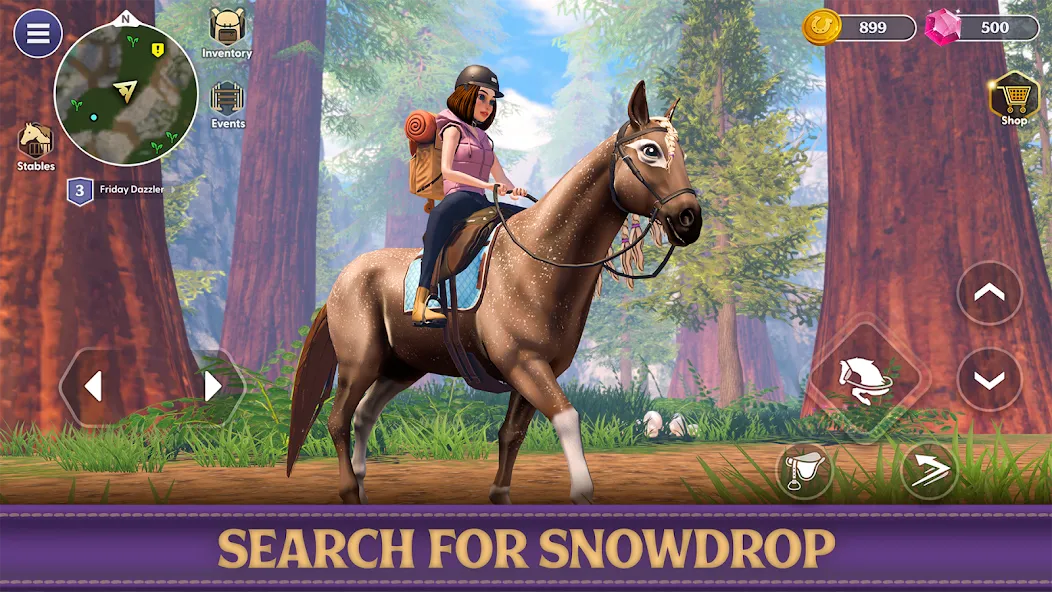 Star Equestrian - Horse Ranch (Стар Иквестриан)  [МОД Unlimited Money] Screenshot 3