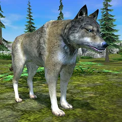 Wolf Simulator - Animal Games