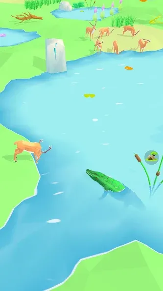 Animal Wildlife (Энимал Вайлдлайф)  [МОД Много денег] Screenshot 5