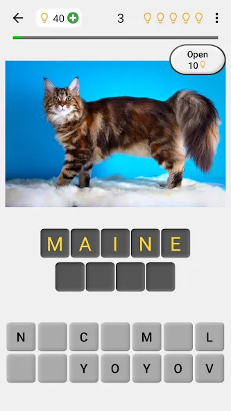 Cats Quiz Guess Popular Breeds  [МОД Unlimited Money] Screenshot 1