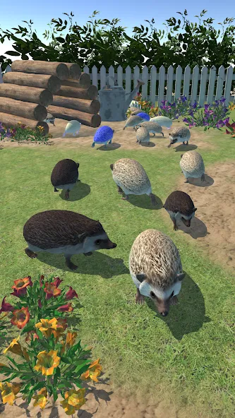 Hedgehog Friends (Хеджхог Френдс)  [МОД Все открыто] Screenshot 3