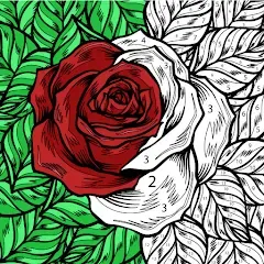 Взломанная Color by Number: Coloring Book  [МОД Unlimited Money] - стабильная версия apk на Андроид