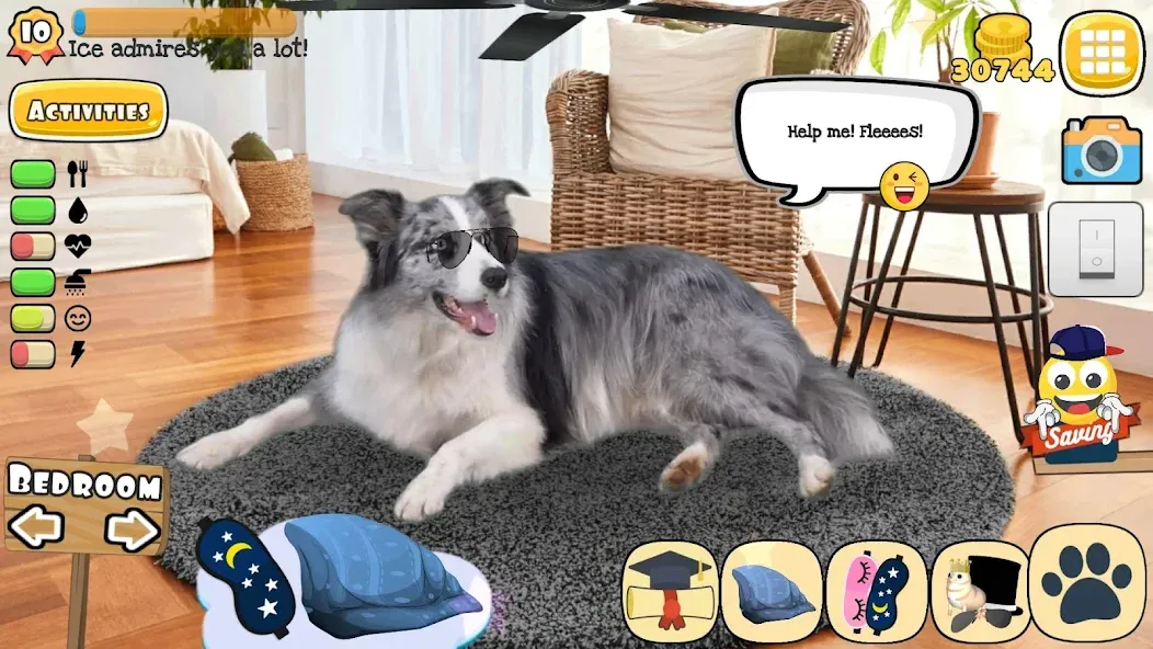 Adopt a pet : Corgi Games (Риал Петс бай Фруви)  [МОД Все открыто] Screenshot 5