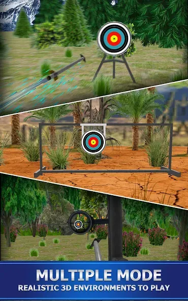 Archery Shoot  [МОД Много монет] Screenshot 1