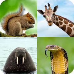 Взломанная Animal Quiz: Guess the Animal  [МОД Много денег] - последняя версия apk на Андроид