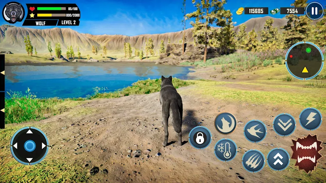 Wild Wolf Simulator Games  [МОД Бесконечные деньги] Screenshot 2