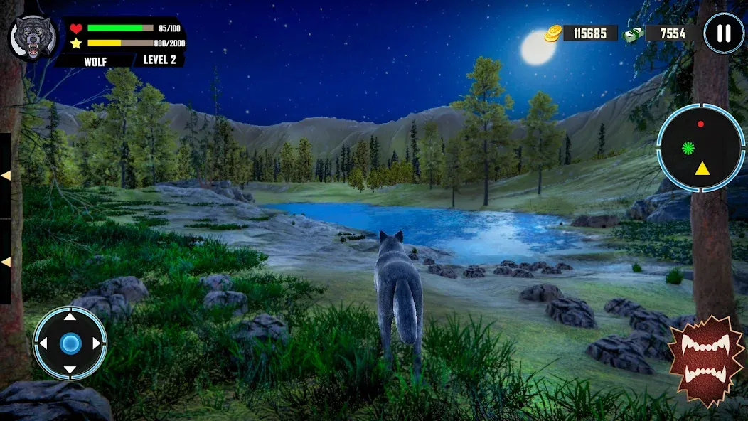 Wild Wolf Simulator Games  [МОД Бесконечные деньги] Screenshot 4