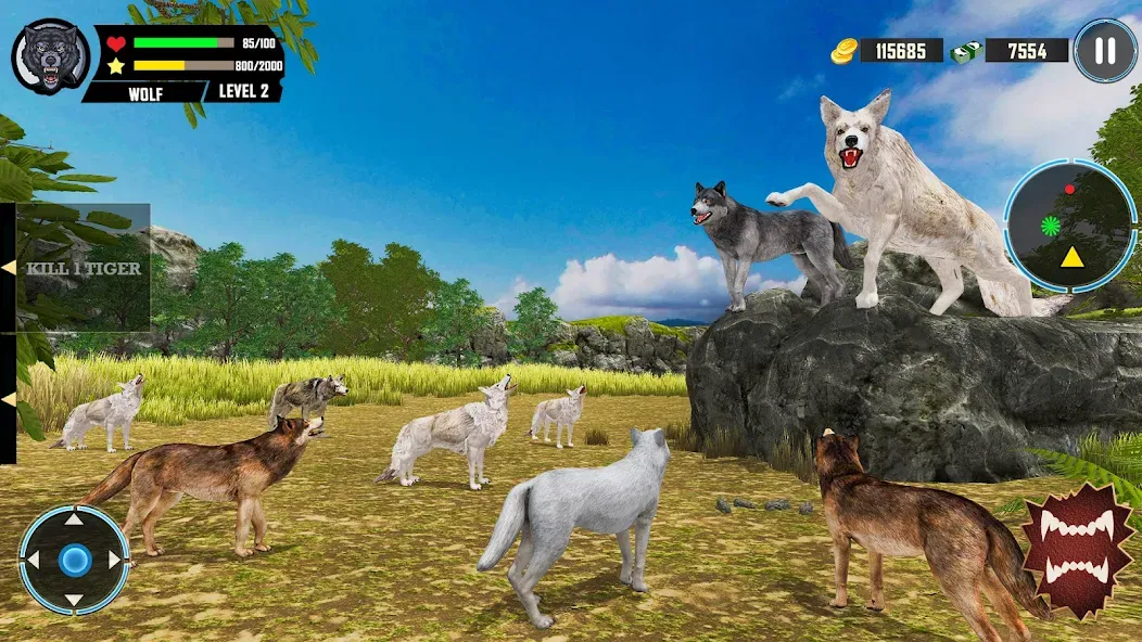 Wild Wolf Simulator Games  [МОД Бесконечные деньги] Screenshot 5