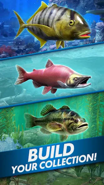 Ultimate Fishing! Fish Game  [МОД Unlocked] Screenshot 5