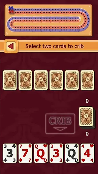 Cribbage (Криббидж)  [МОД Много денег] Screenshot 1