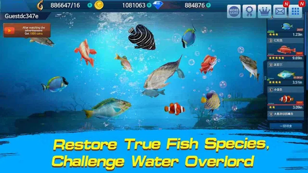 Fishing Championship  [МОД Много денег] Screenshot 2