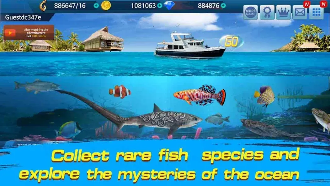 Fishing Championship  [МОД Много денег] Screenshot 3