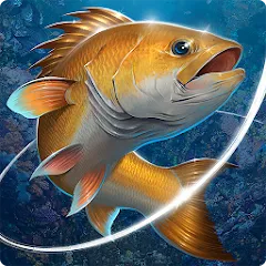 Скачать взлом Fishing Hook  [МОД Меню] - последняя версия apk на Андроид