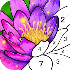 Взлом Color Time - Paint by Number (Колор Тайм)  [МОД Unlimited Money] - полная версия apk на Андроид