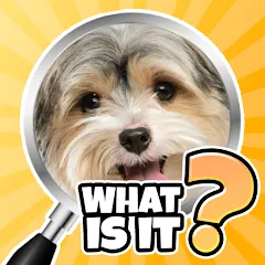 Скачать взлом What is it? Pics Trivia Quiz  [МОД Mega Pack] - последняя версия apk на Андроид