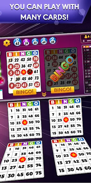 Bingo - Offline Bingo Game  [МОД Много монет] Screenshot 1