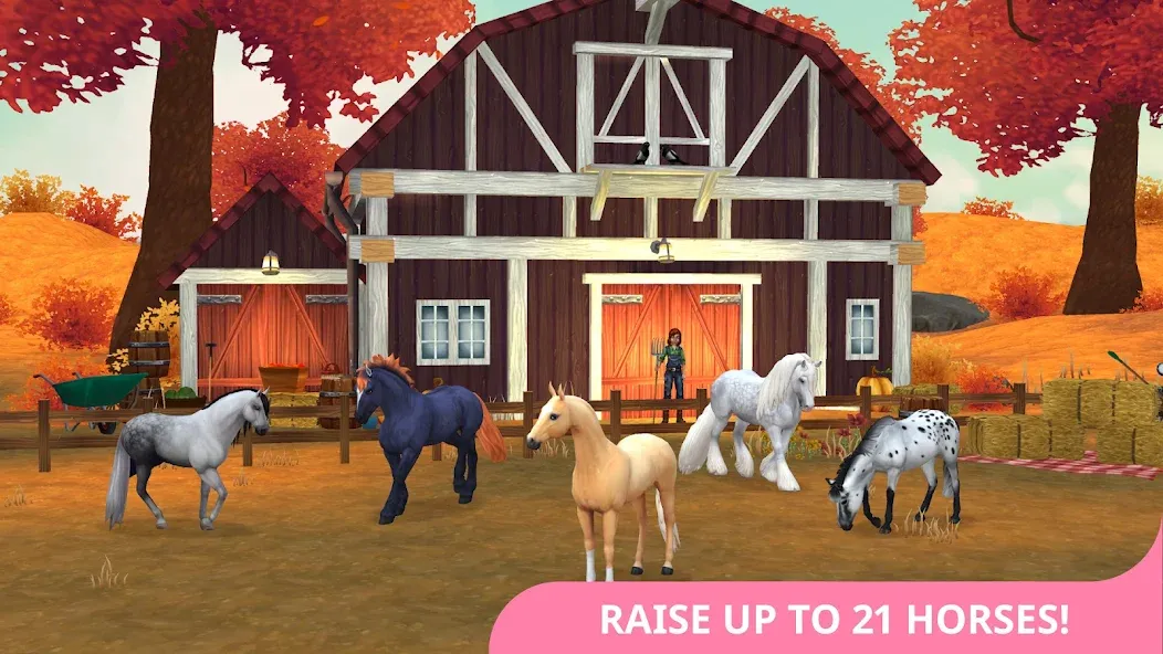 Star Stable Horses (СТар Стабл Хорсес)  [МОД Бесконечные деньги] Screenshot 3