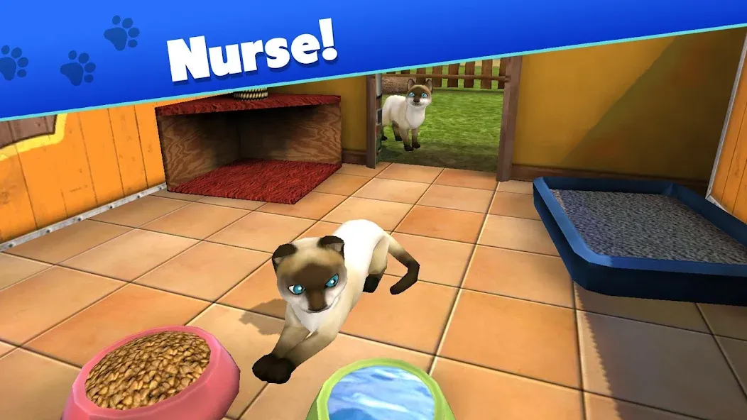 Pet World - My Animal Shelter (Пет Ворлд)  [МОД Много монет] Screenshot 3