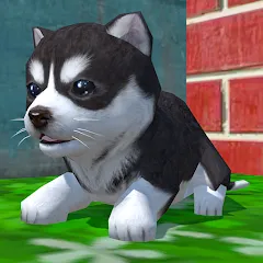 Скачать взломанную Cute Pocket Puppy 3D (Сьют Покет Паппи 3Д)  [МОД Бесконечные деньги] - последняя версия apk на Андроид