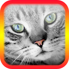 Скачать взлом Translator for Cats Prank  [МОД Много денег] - полная версия apk на Андроид