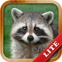 Скачать взломанную Animals for Kids  [МОД Mega Pack] - стабильная версия apk на Андроид