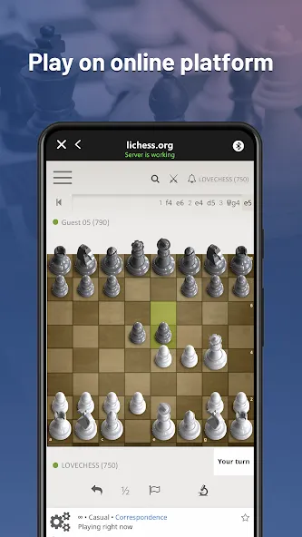 Chessnut (Честнат)  [МОД Много монет] Screenshot 2