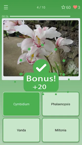 Quiz: Flowers, Plants  [МОД Menu] Screenshot 2