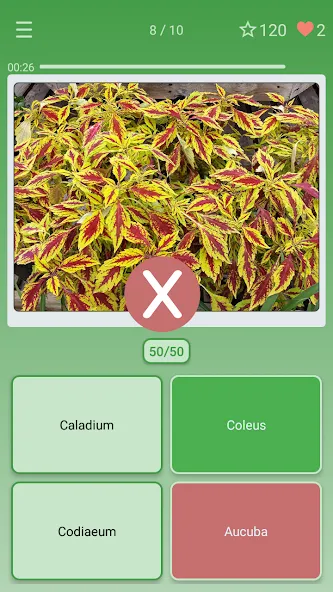 Quiz: Flowers, Plants  [МОД Menu] Screenshot 3